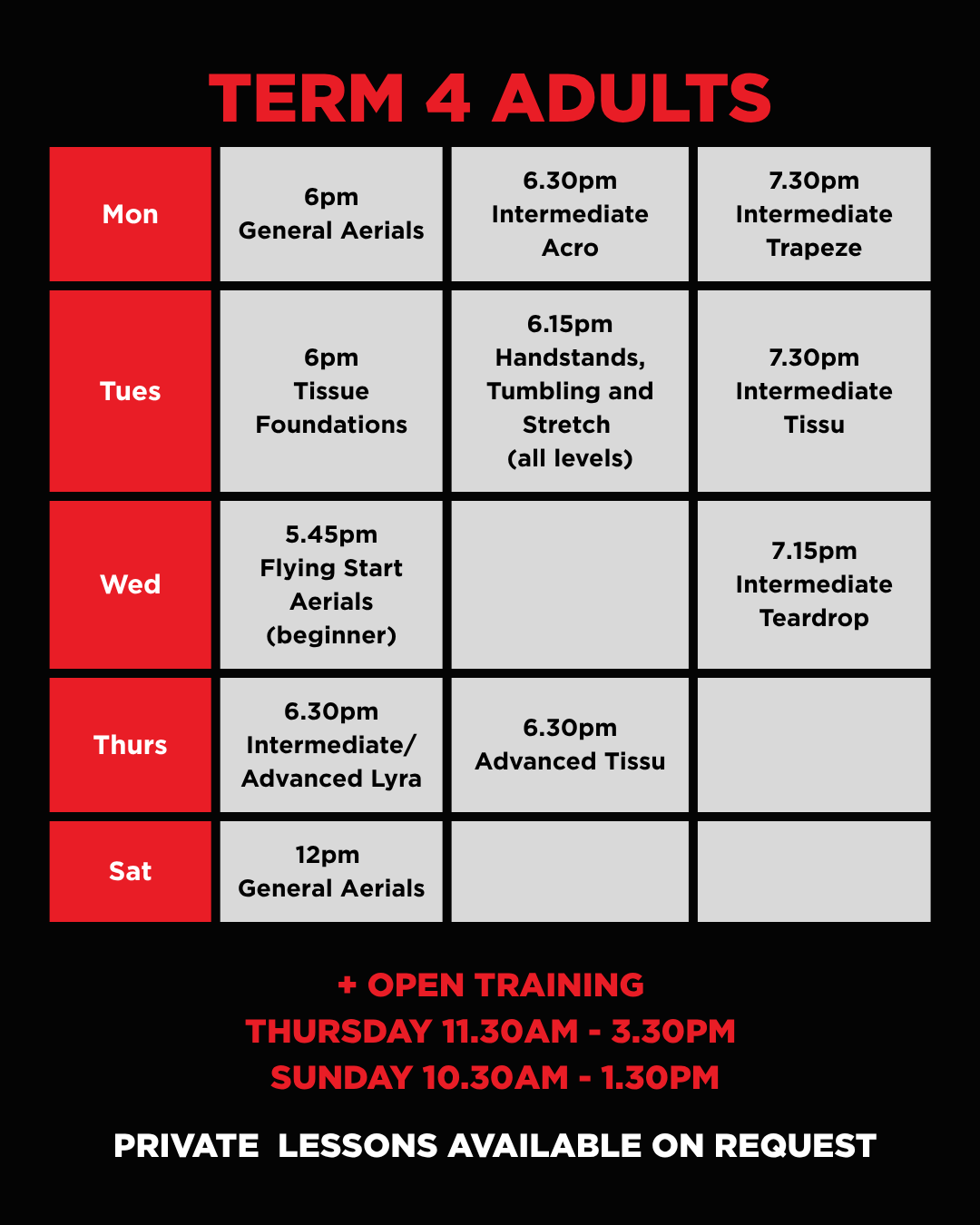 Adult circus class time table for term 4 2026